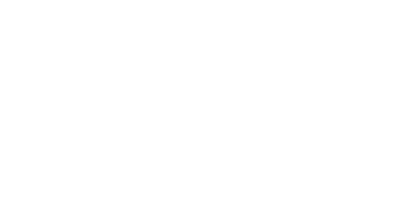 logo blanco tapizen